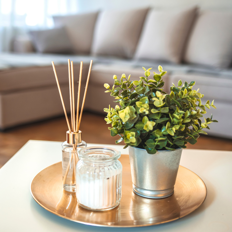 Sala organizada com difusor de aromas e planta natural sobre mesa, representando ambiente limpo e cheiro agradável sem excesso de fragrância.