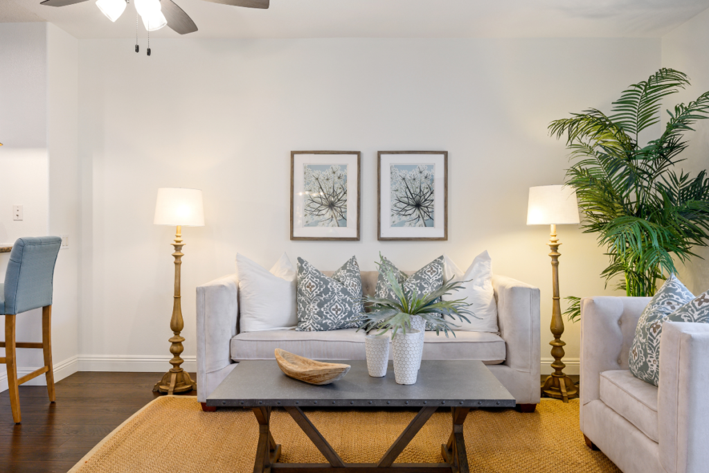 Sala de estar organizada e aconchegante com sofá, luminárias e planta decorativa representando dicas para casa prática e funcional