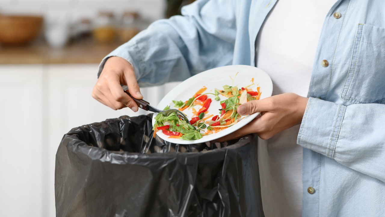 Como Organizar o Lixo em Casa: Dicas Práticas para Evitar Mau Cheiro e Facilitar a Reciclagem